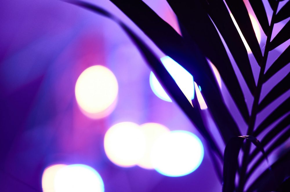 2022-01-24 JR Studio3436